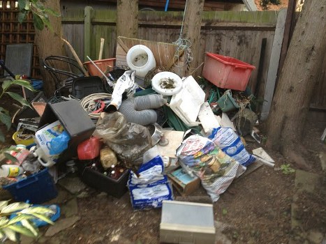 Team managing waste collection efficiently